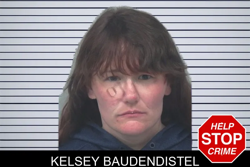 Kelsey Baudendistel mugshot – Gwinnett County , Georgia Kelsey Baudendistel mugshot