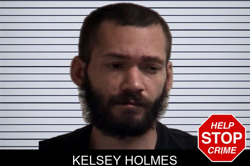 Kelsey Holmes mugshot