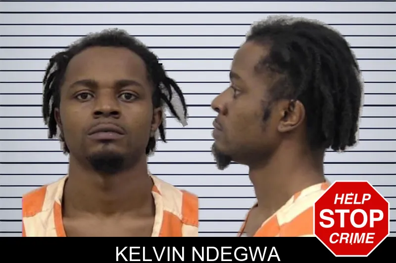 Kelvin Ndegwa mugshot