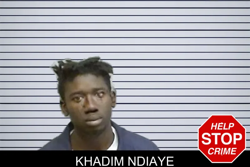 Khadim Ndiaye mugshot – Fulton County , Georgia Khadim Ndiaye mugshot