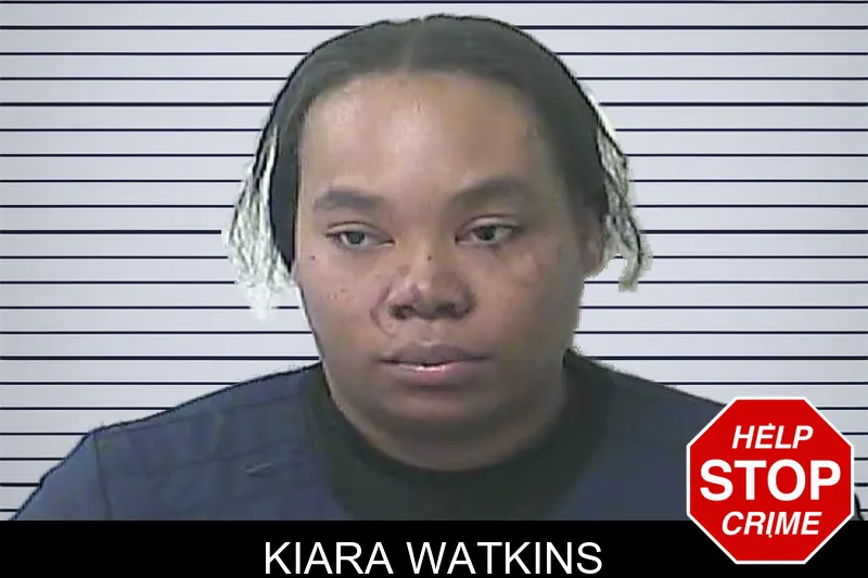 Kiara Watkins mugshot