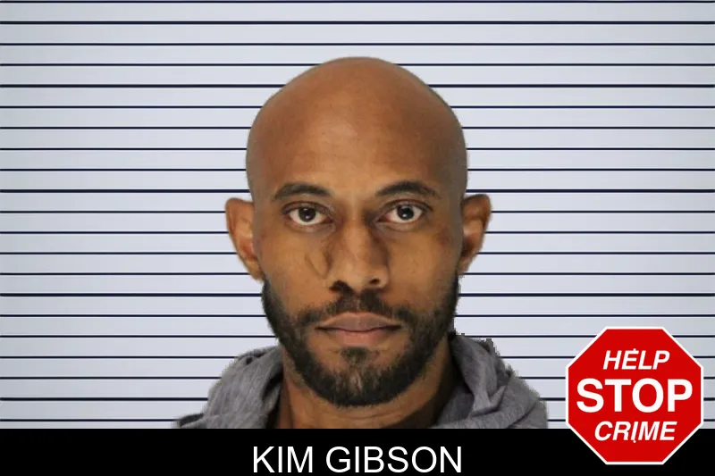 Kim Gibson mugshot