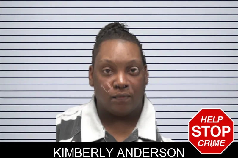 Kimberly Anderson mugshot