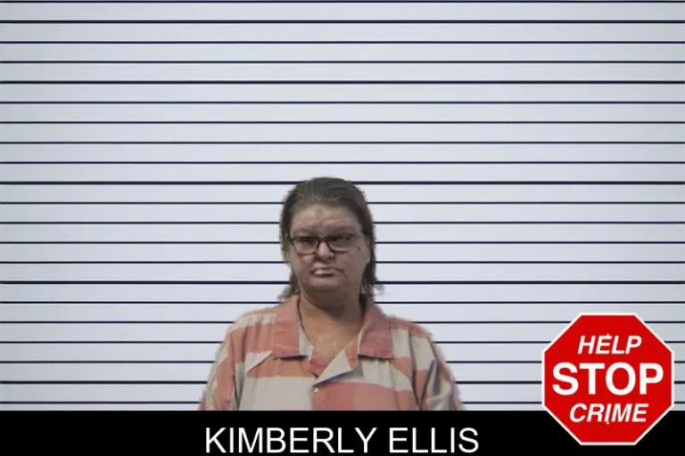 Kimberly Ellis mugshot – Stephens County , Georgia Kimberly Ellis