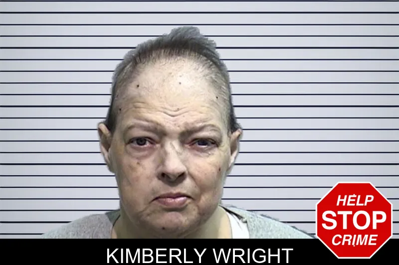 Kimberly Wright mugshot – Effingham County , Georgia Kimberly Wright mugshot