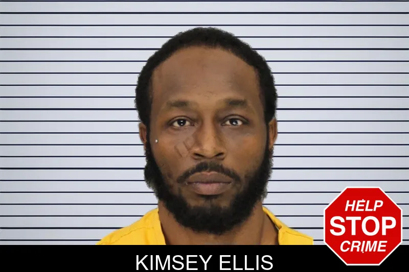Kimsey Ellis mugshot
