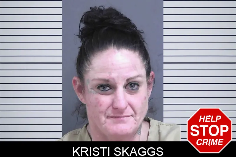 Kristi Skaggs mugshot