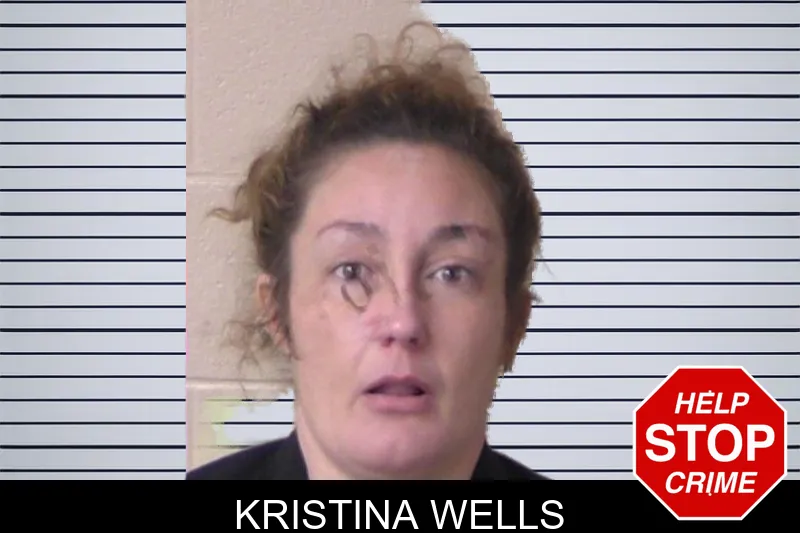 Kristina Wells mugshot – Walker County , Georgia Kristina Wells mugshot
