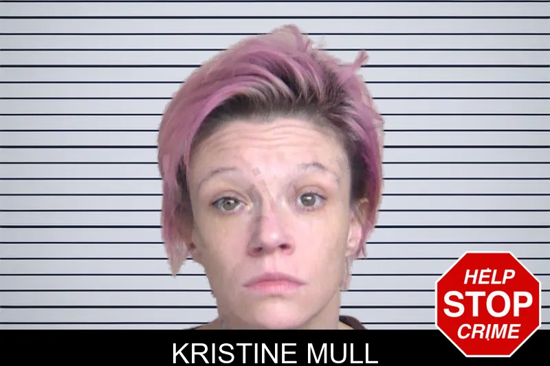 Kristine Mull mugshot