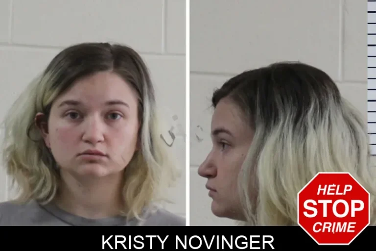 Kristy Novinger mugshot – Houston County , Georgia Kristy Novinger