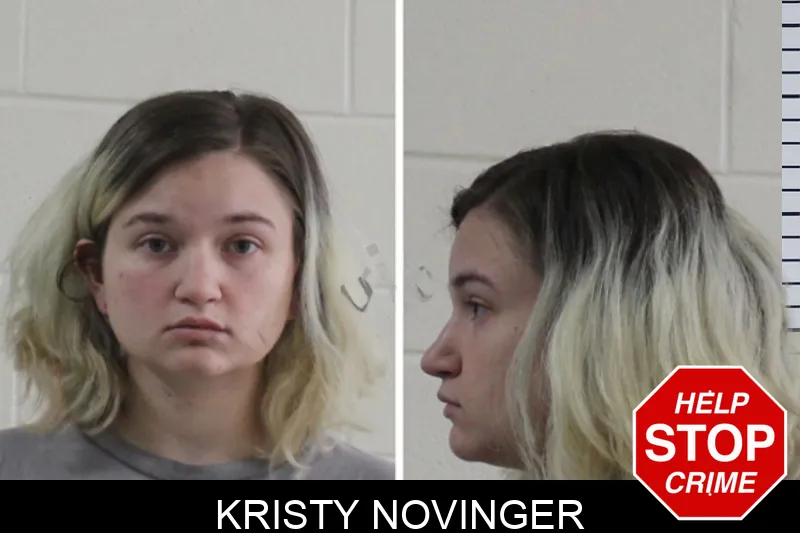 Kristy Novinger mugshot