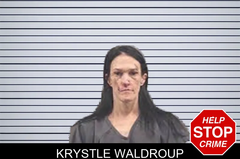 Krystle Waldroup mugshot