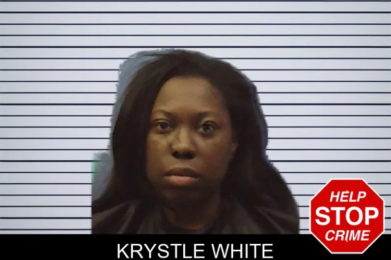 Krystle White mugshot – Chattooga County , Georgia Krystle White