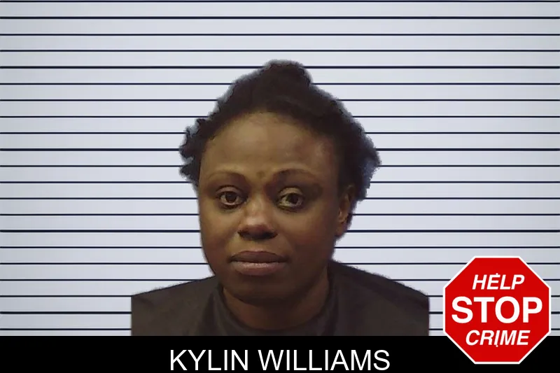 Kylin Williams mugshot – Chattooga County , Georgia Kylin Williams mugshot