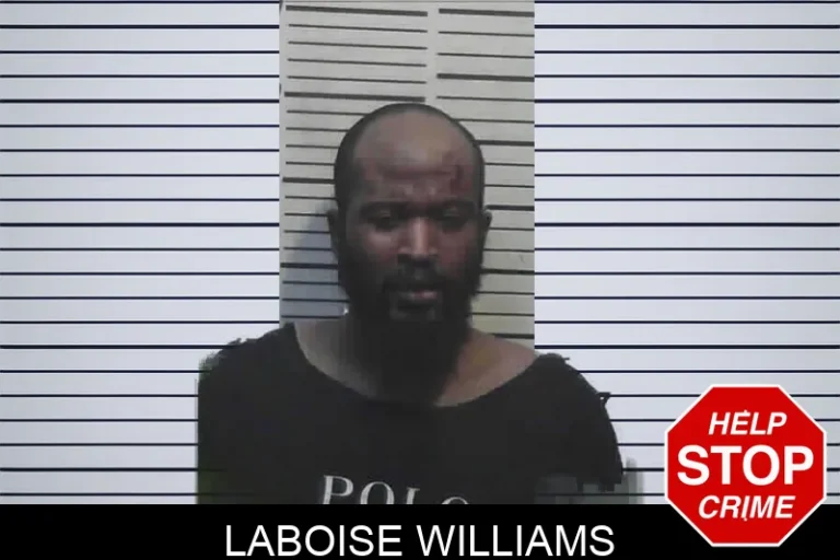Laboise Williams mugshot β Meriwether County , Georgia Laboise Williams