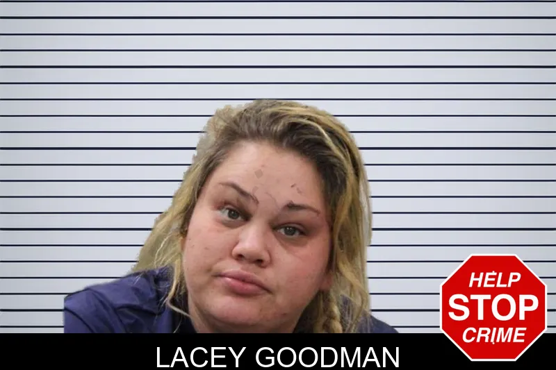 Lacey Goodman mugshot – Heard County , Georgia Lacey Goodman mugshot
