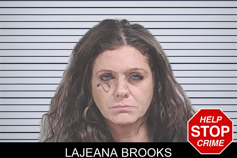 Lajeana Brooks mugshot