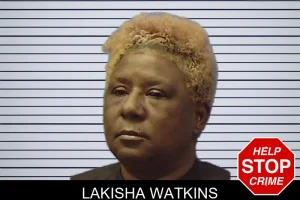 Lakisha Watkins mugshot