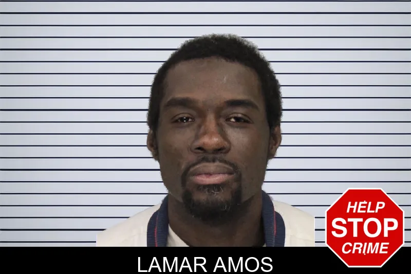 Lamar Amos mugshot