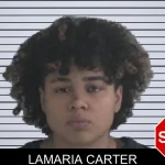 Lamaria Carter mugshot – Brantley County , Georgia Lamaria Carter mugshot
