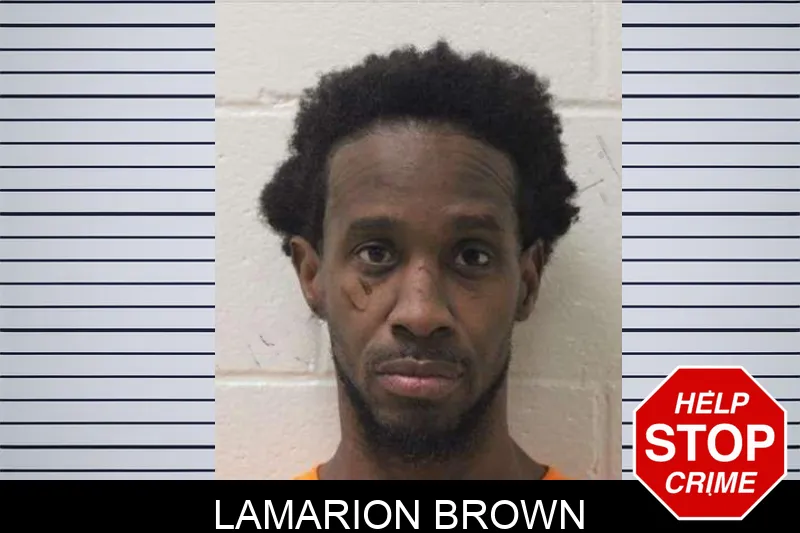 Lamarion Brown mugshot