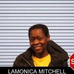Lamonica Mitchell mugshot – Monroe County , Georgia Lamonica Mitchell mugshot