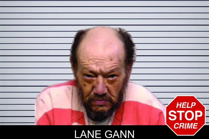 Lane Gann mugshot