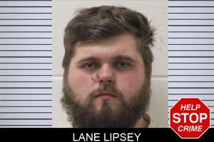 Lane Lipsey mugshot
