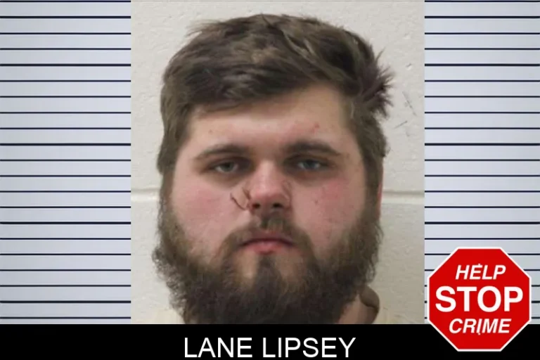 Lane Lipsey