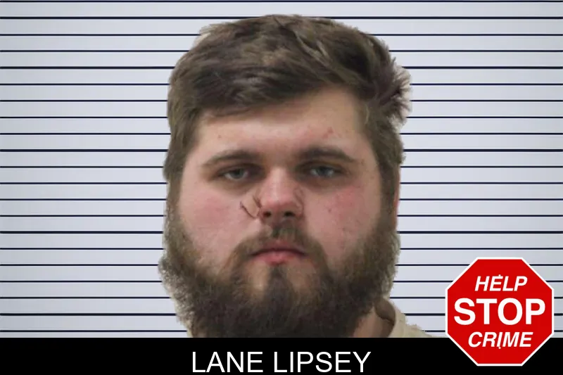 Lane Lipsey mugshot