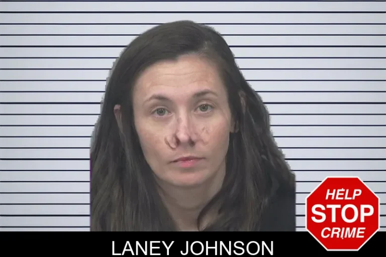 Laney Johnson mugshot – Gwinnett County , Georgia Laney Johnson