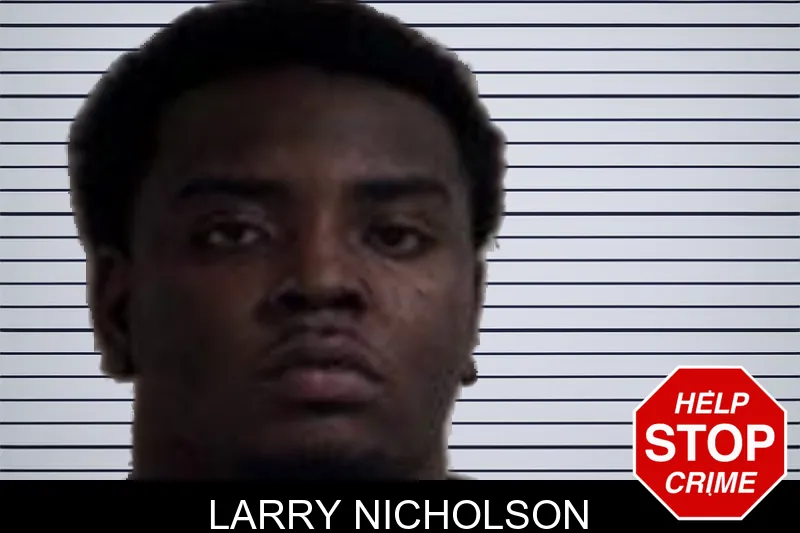 Larry Nicholson mugshot – Henry County , Georgia Larry Nicholson mugshot