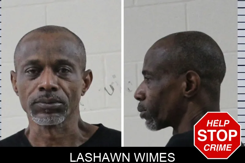 Lashawn Wimes mugshot – Houston County , Georgia Lashawn Wimes mugshot