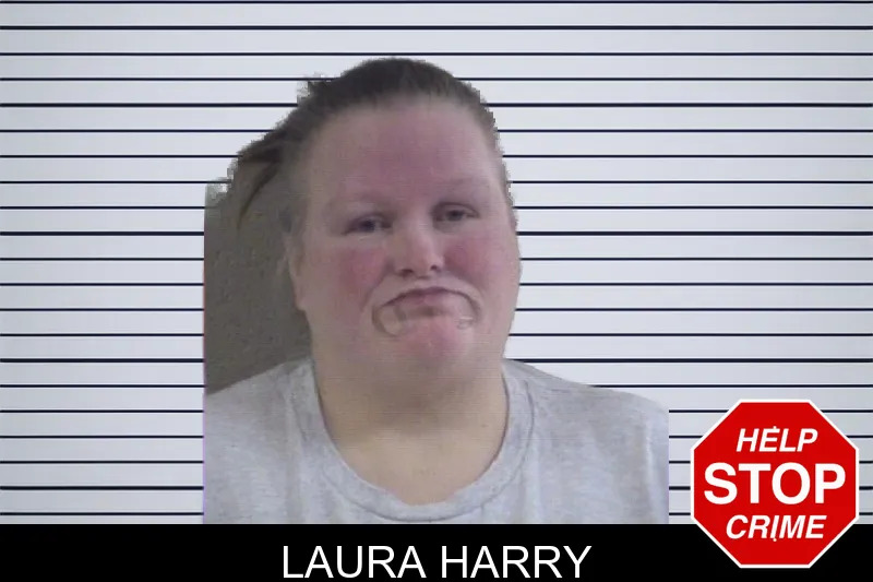 Laura Harry mugshot