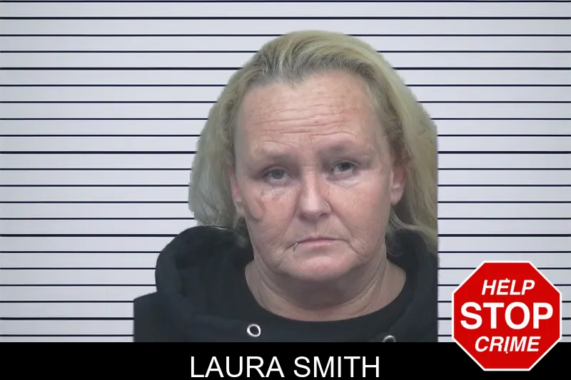Laura Smith mugshot – Gwinnett County , Georgia Laura Smith mugshot