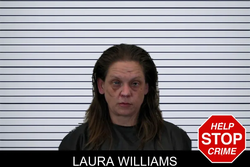 Laura Williams mugshot – Hart County , Georgia Laura Williams mugshot