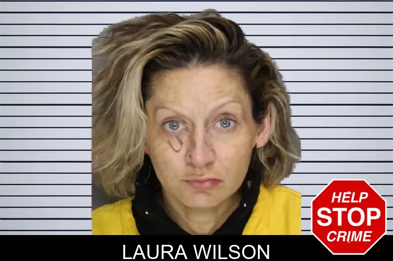 Laura Wilson mugshot – Cobb County , Georgia Laura Wilson mugshot