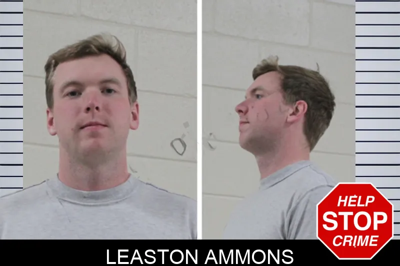 Leaston Ammons mugshot