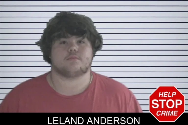 Leland Anderson