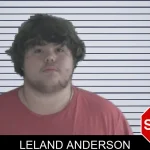 Leland Anderson mugshot