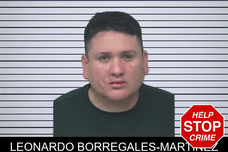 Leonardo Borregales-Martinez mugshot