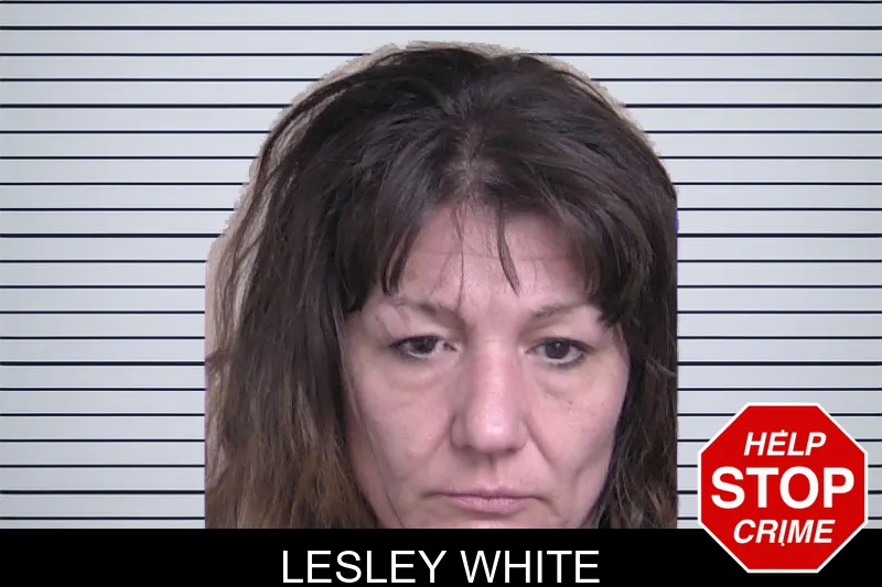 Lesley White mugshot