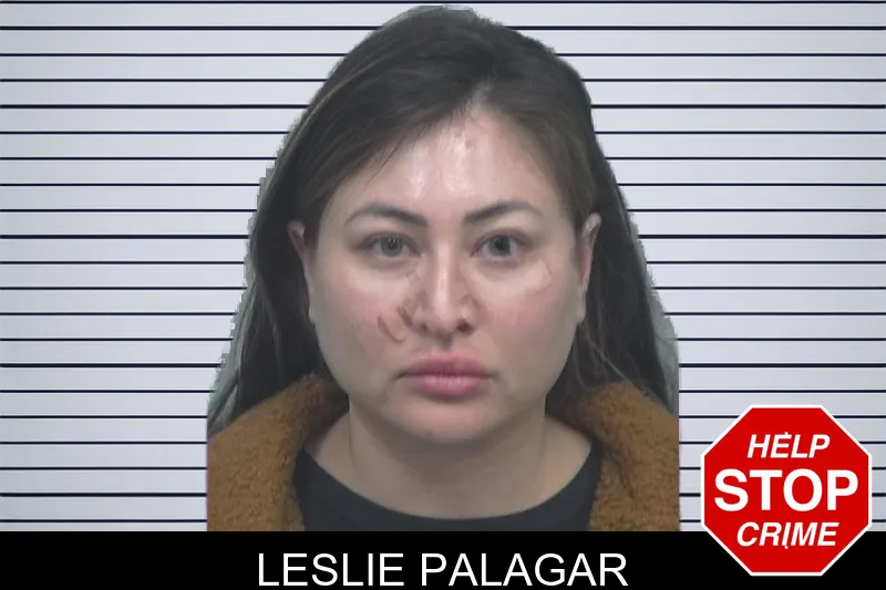 Leslie Palagar mugshot – Gwinnett County , Georgia Leslie Palagar mugshot