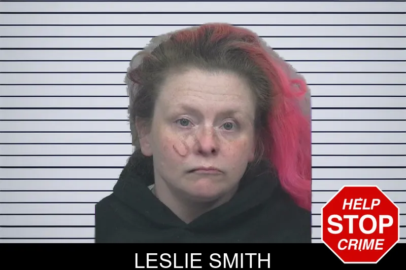 Leslie Smith mugshot – Gwinnett County , Georgia Leslie Smith mugshot