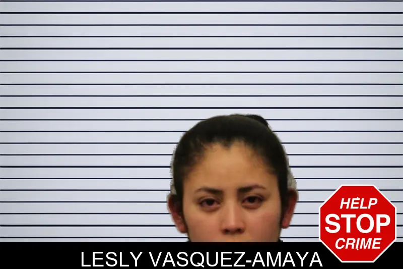 Lesly Vasquez-Amaya mugshot – Chatham County , Georgia Lesly Vasquez-Amaya mugshot