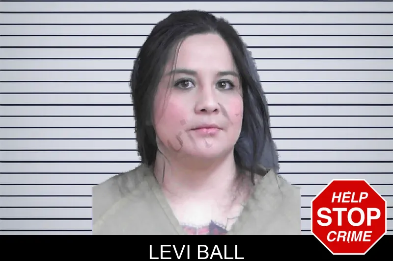 Levi Ball mugshot