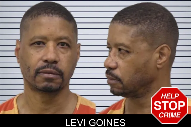 Levi Goines mugshot