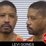 Levi Goines mugshot