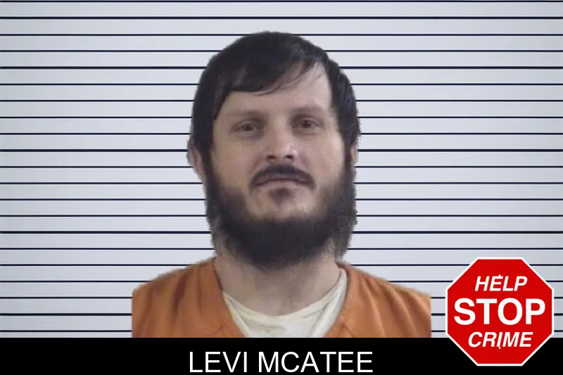 Levi McAtee mugshot