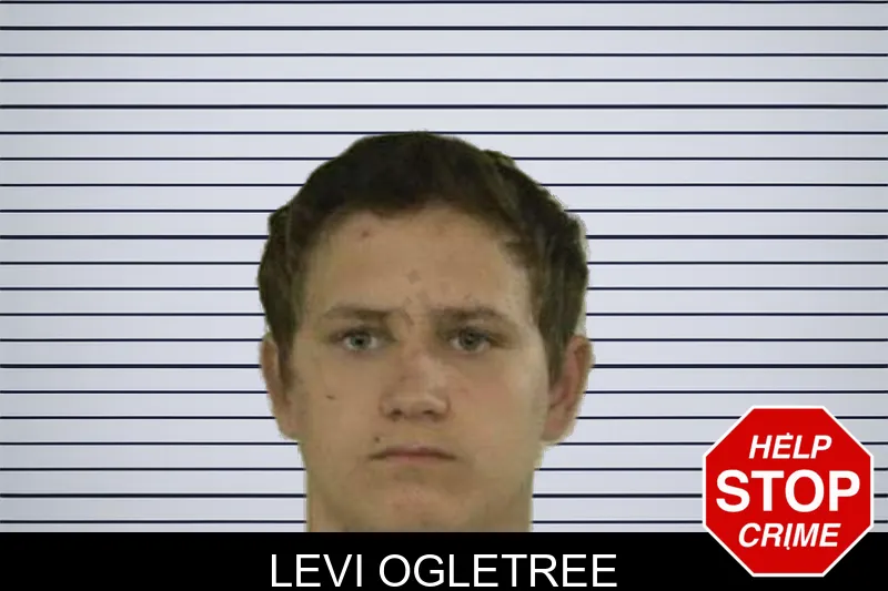 Levi Ogletree mugshot